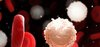 Cancer and Hematology