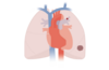 Observational Cohort Study