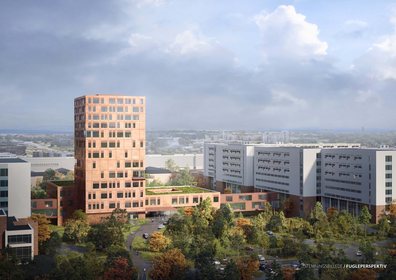 Visualisering af Forum