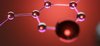 Endocrinology and Metabolism