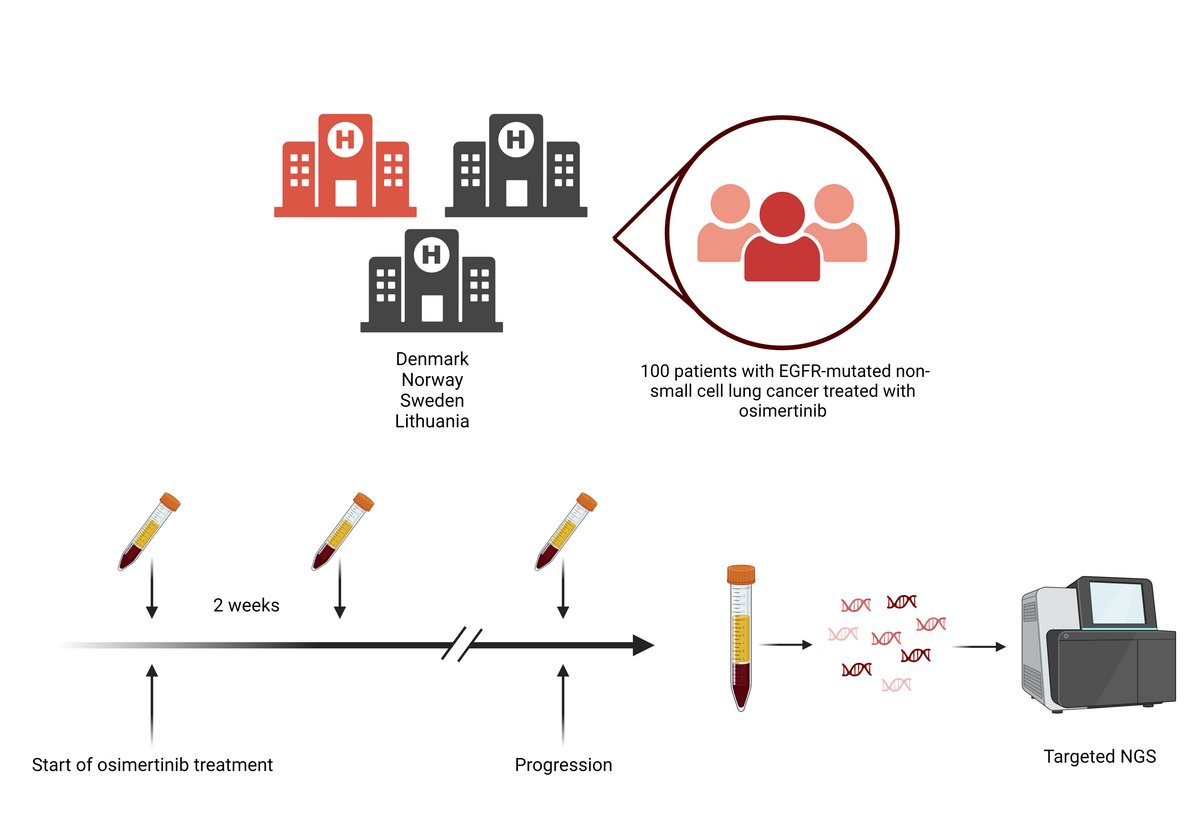 Simone Stensgaard PhD project