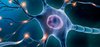 Neuroscience and Psychiatry