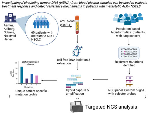 Targeted NGS analysis