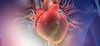Heart and Circulation